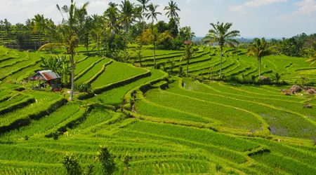 Indonesie  Bali & Pemuteran 