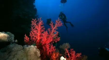 Egypte  Croisière Elba 